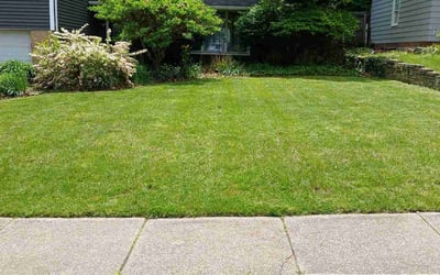Photo of Tamara W.'s yard after getting lawn care in Mogadore, OH