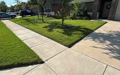 Photo of Shane E.'s yard after getting lawn care in Princeton, TX