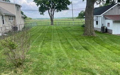 Photo of Eddie M.'s yard after getting lawn care in Bethany Beach, DE
