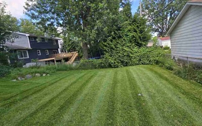 Photo of Todd E.'s yard after getting lawn care in Lansing, MI