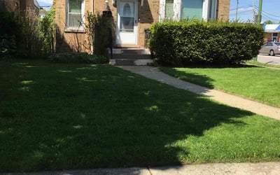 Photo of Lance M.'s yard after getting lawn care in Normal, IL
