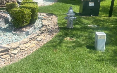Photo of Michelle B.'s yard after getting lawn care in Columbus, OH
