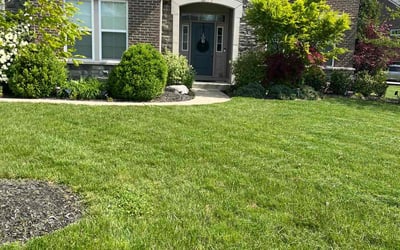 Photo of Denise W.'s yard after getting lawn care in Maineville, OH