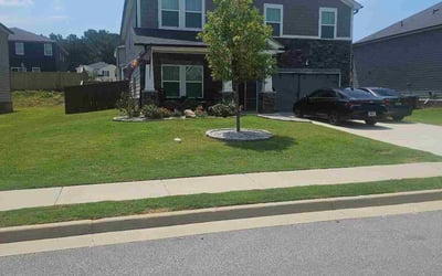 Photo of Evelyn M.'s yard after getting lawn care in Sacramento, CA