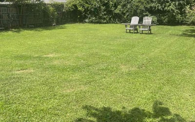 Photo of Paul B.'s yard after getting lawn care in Van Buren, AR