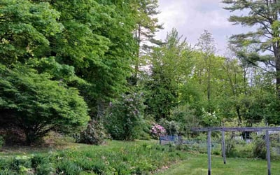 Photo of Sean M.'s yard after getting lawn care in Londonderry, NH