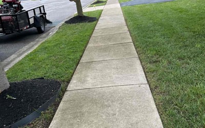 Photo of Susan B.'s yard after getting lawn care in Brooklyn Park, MD