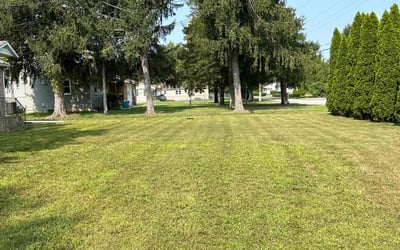 Photo of Corey F.'s yard after getting lawn care in Bridgeton, NJ