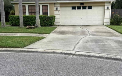 Photo of Rebecca A.'s yard after getting lawn care in Lutz, FL