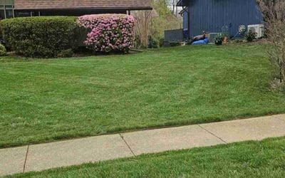 Photo of Heidi L.'s yard after getting lawn care in Falls Church, VA