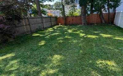 Photo of Kristie W.'s yard after getting lawn care in Poughkeepsie, NY