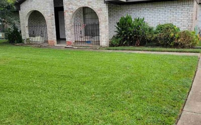 Photo of Mel S.'s yard after getting lawn care in Richmond Hill, NY