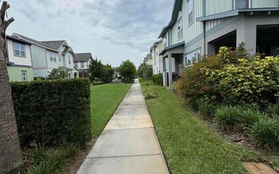 Photo of Alexis B.'s yard after getting lawn care in Crown Point, IN