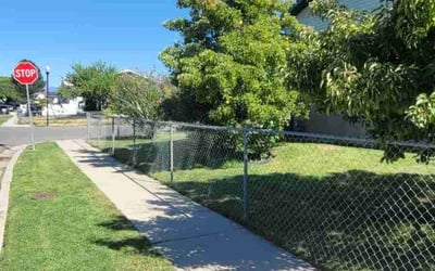 Photo of Sandy S.'s yard after getting lawn care in Magna, UT