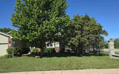 Photo of Ardice G.'s yard after getting lawn care in Derby, KS