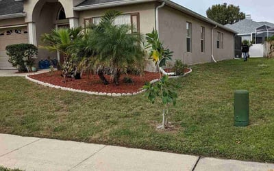 Photo of Jack E.'s yard after getting tree care in Katy, TX