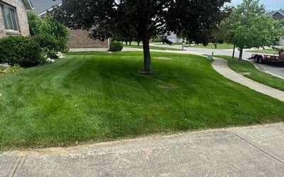 Photo of Vanessa P.'s yard after getting tree care in Windsor, CA