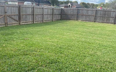 Photo of Sandy R.'s yard after getting lawn care in Long Beach, MS