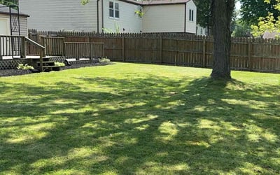 Photo of Peter W.'s yard after getting lawn care in Kingston, NY