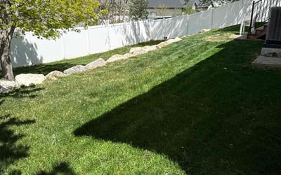 Photo of Frank Q.'s yard after getting lawn care in Bluffdale, UT