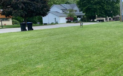 Photo of Clay F.'s yard after getting lawn care in Cheswick, PA