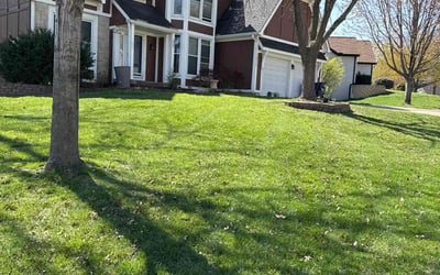 Photo of Mayzella W.'s yard after getting lawn care in Olathe, KS
