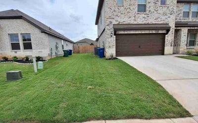 Photo of Beth C.'s yard after getting lawn care in San Antonio, TX