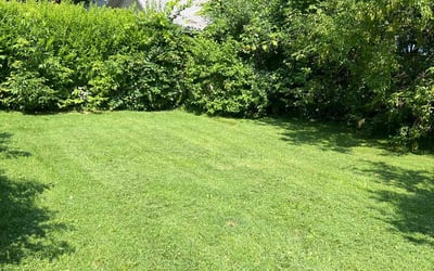 Photo of Elizabeth S.'s yard after getting lawn care in Fulton, NY
