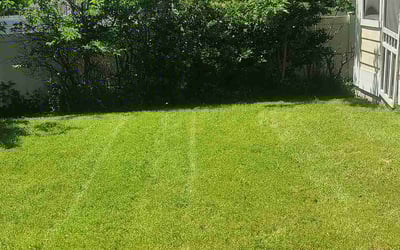 Photo of Jack B.'s yard after getting lawn care in Fort Worth, TX