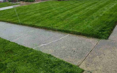 Photo of Mahnaz M.'s yard after getting lawn care in Garfield Heights, OH