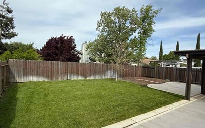 Photo of Elena Q.'s yard after getting lawn care in Sacramento, CA