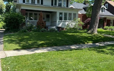 Photo of William B.'s yard after getting lawn care in Cleveland Heights, OH