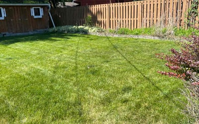 Photo of Sapphire C.'s yard after getting lawn care in Centerville, OH