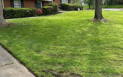 Photo of Vonetta W.'s yard after getting lawn care in Perrysburg, OH