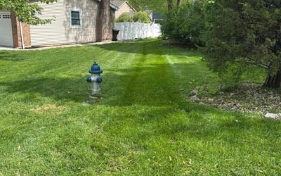 Photo of JaiNeil R.'s yard after getting lawn care in Oakville, MO