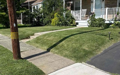 Photo of Amani A.'s yard after getting lawn care in Lansdowne, PA