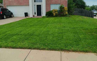 Photo of Olivia H.'s yard after getting lawn care in San Luis Obispo, CA