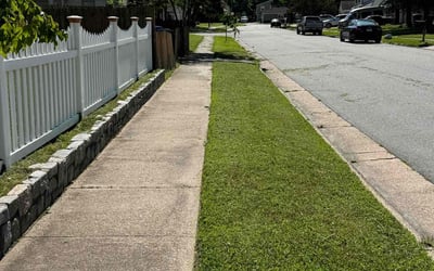 Photo of Helen H.'s yard after getting lawn care in Christiansburg, VA