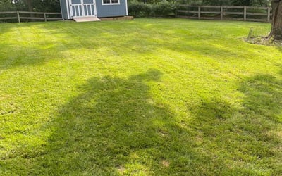 Photo of Dionna T.'s yard after getting lawn care in West Chester, OH