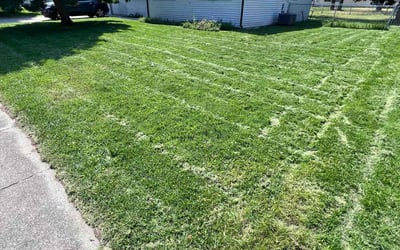 Photo of Roger D.'s yard after getting lawn care in Anacortes, WA