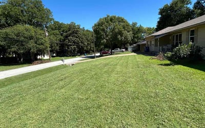 Photo of James H.'s yard after getting lawn care in DeSoto, TX