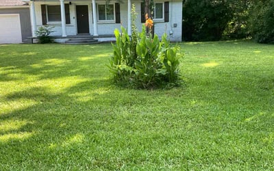 Photo of Angela W.'s yard after getting lawn care in Alton, IL