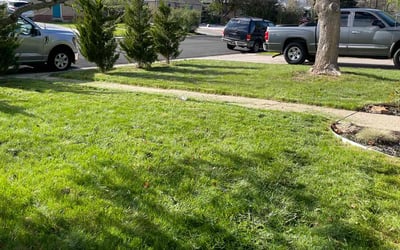 Photo of Jonie M.'s yard after getting lawn care in Greenwood Village, CO