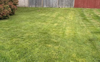 Photo of Michael G.'s yard after getting lawn care in Lake Stevens, WA