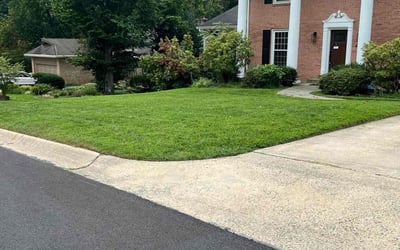 Photo of Sherri M.'s yard after getting lawn care in Bethesda, MD