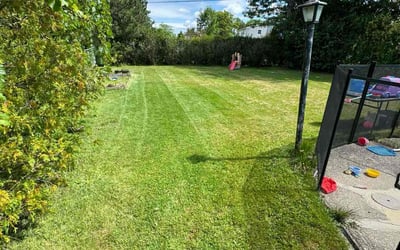 Photo of Brian L.'s yard after getting lawn care in Buffalo, NY
