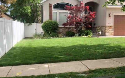 Photo of Kendell M.'s yard after getting lawn care in Columbus, GA