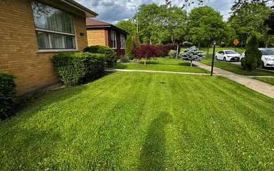Photo of Phillip B.'s yard after getting lawn care in Skokie, IL