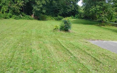 Photo of Nancy K.'s yard after getting lawn care in Mc Kees Rocks, PA