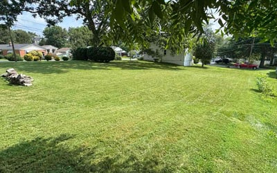 Photo of Penny W.'s yard after getting lawn care in Dover, PA